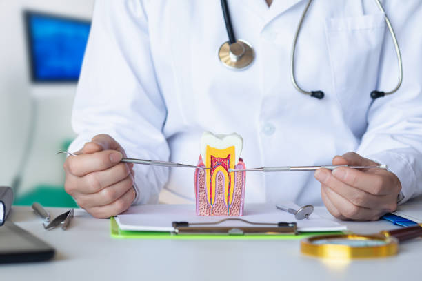 Best Emergency Treatment for Oral Infections in Alliae, NC
